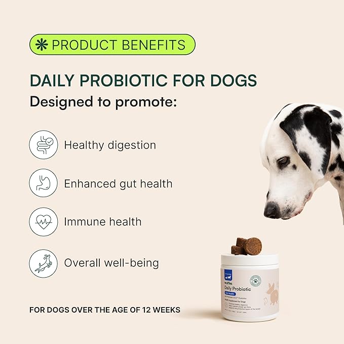 Wuffes Daily Probiotic for Dogs - Supports Digestive Health, Gut Balance, and Immune System - with Prebiotics, Marshmallow Root, and Pumpkin Powder (120 Chews (Pack of 2))