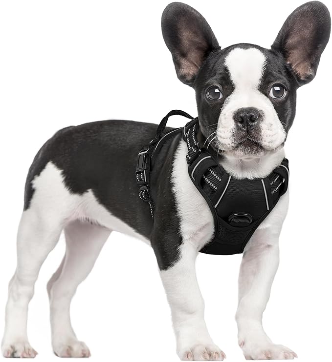rabbitgoo Dog Harness No Pull with 2 Leash Clips, Adjustable Soft Padded, Reflective Oxford No Choke Pet Vest with Easy Control Handle for Small Dogs, Black, S