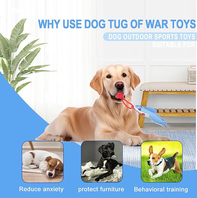 Dog Tree Tug of War Toy with Squeaky, Tethered Tug of War Outdoor Toy Self Play for Aggressive Chewers, Durable Bungee Cord with Chew Ball