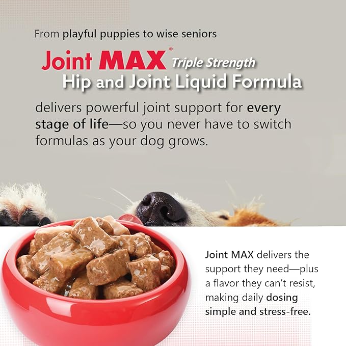 Liquid for Dogs - Vitamins, Minerals, Antioxidants - Glucosamine, Chondroitin - Beef Flavor - Maximum Joint Health Supplement for Dogs - 32 fl oz