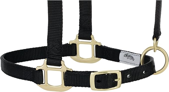 Weaver Equine Breakaway Horse Halter, Supple Leather Crown, Adjustable Chin & Throat Snap Halters for Horses, Equine Tack,Pony Size, Black