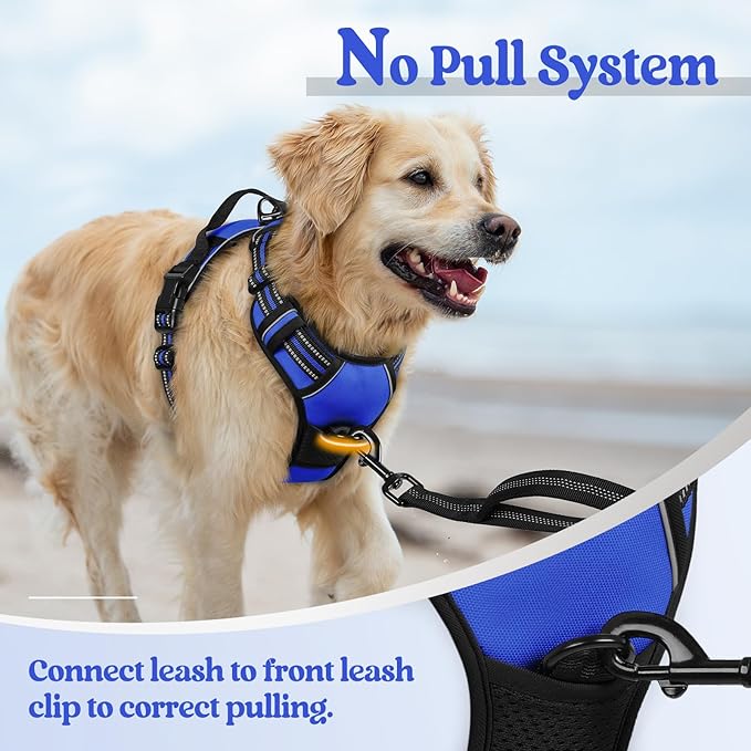 rabbitgoo Dog Harness No Pull with 2 Leash Clips, Adjustable Soft Padded, Reflective Oxford No Choke Pet Vest with Easy Control Handle for Small Dogs, Dazzling Blue, S
