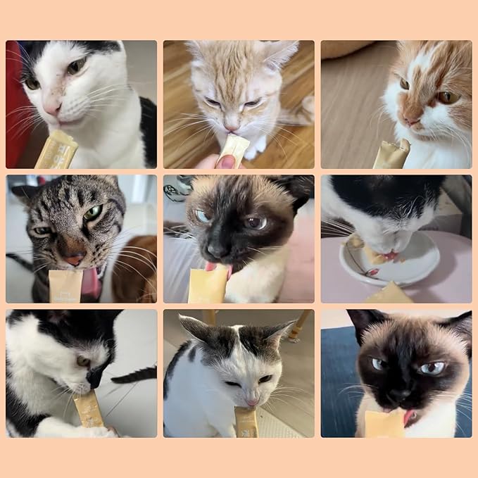 Dr.by Cat Colostrum Protein Cat Supplement Immune Support Muscle Growth, Gentle on Digestion for Kittens, Adult&Senior Cats with Goat Milk, Whey Protein Isolate, Colostrum Lickable Formula
