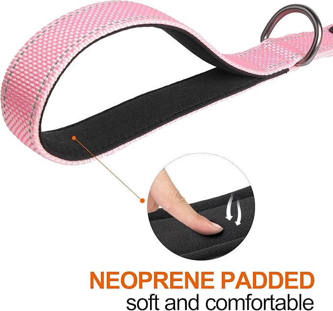 TwoEar 5FT 1IN Strong Pink Dog Leash with 2 Padded Handles, Traffic Handle Extra Control, Comfortable Soft Dual Handle, Auto Lock Hook, Reflective Walking Lead for Small Medium and Large Dogs