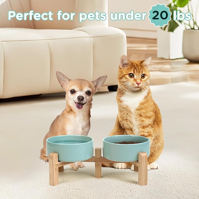 SPUNKYJUNKY Elevated Dog Bowls Ceramic, 5.1'' Dogs and Cat Food Water Bowls Raised with Non-Slip Bamboo Stand for Puppy Small Sized Breed Microwave Dishwasher Safe - 13.5 OZ,Light Green