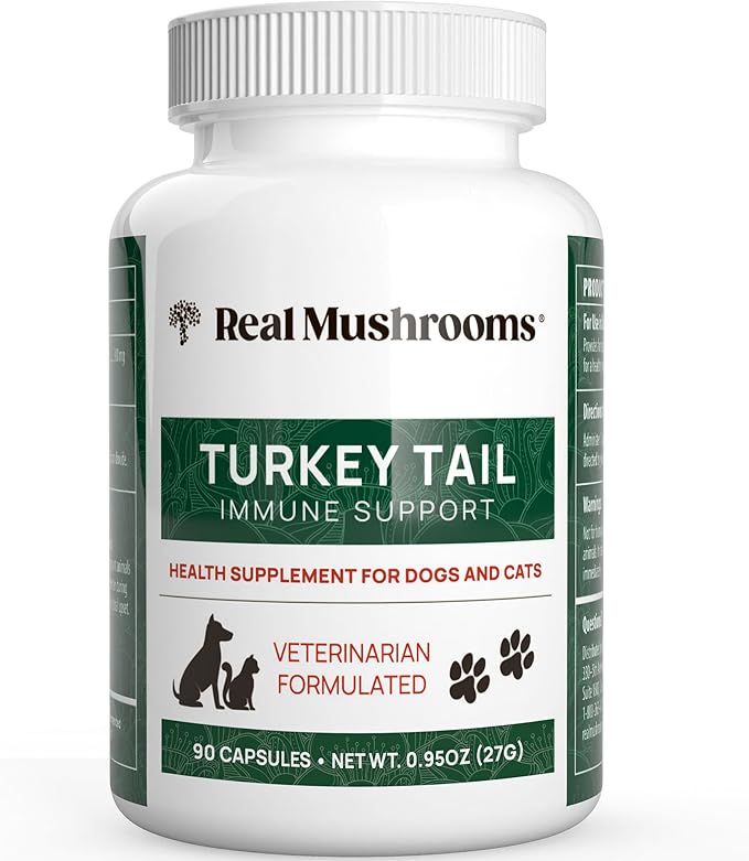 Real Mushrooms Turkey Tail Capsules for Pets –Cat Probiotics & Dog Vitamins – Organic Mushroom Supplement for Dogs & Cats – Supports Daily Balance & Well-Being Non-GMO, 90 ct