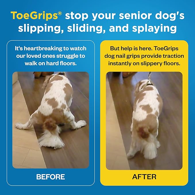 Dr Buzby's XLarge ToeGrips for Dogs - Instant Traction on Wood/Hardwood Floors - Anti Slip Relief - Grippers for Senior Dogs - Stop Sliding Instantly - Rubber Nails for Paws - 1 Pack (20 Grips)