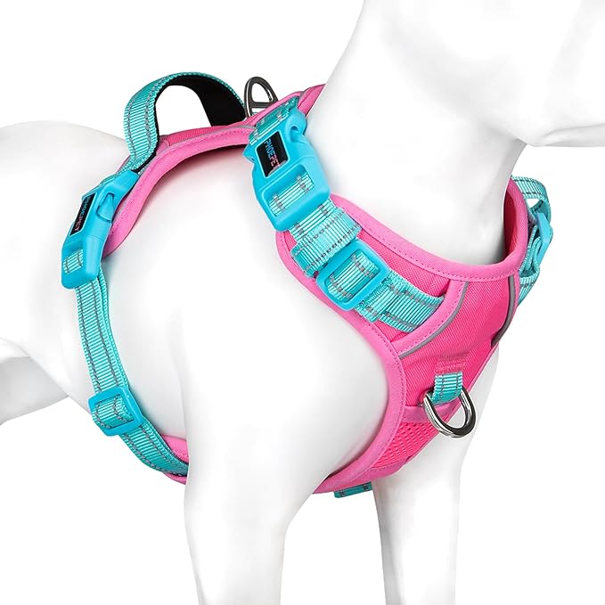PHOEPET No Pull Dog Harness, Unique Colors Reflective Adjustable Dog Vest, with Soft Training Handle Metal Clips for Small Medium Large Dogs (Pink Base & Green Straps,XL)