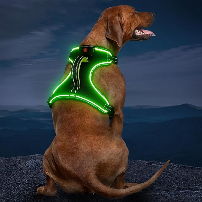 Rechargeable LED Dog Harness - No Pull, 4 Point Adjustable, Small/Medium/Large/X-Large Sizes