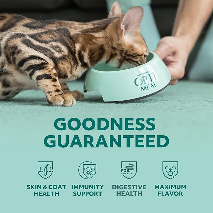 OPtimeal Skin & Sensitive Stomach Cat Food - Proudly Ukrainian - Healthy Cat Food Dry Recipe for Skin & Digestive Support, Tasty Dry Cat Food for Pets (8.8 lbs, Salmon & Brown Rice)
