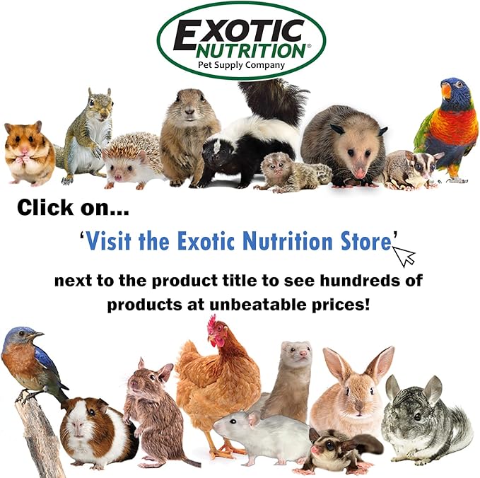 Pasture Plus+ Dandelion Delicacy - Healthy Natural High-Fiber Dried Flower Treat - Squirrels, Guinea Pigs, Rabbits, Chinchillas, Prairie Dogs, Degus, Hamsters, Gerbils & Other Small Pets
