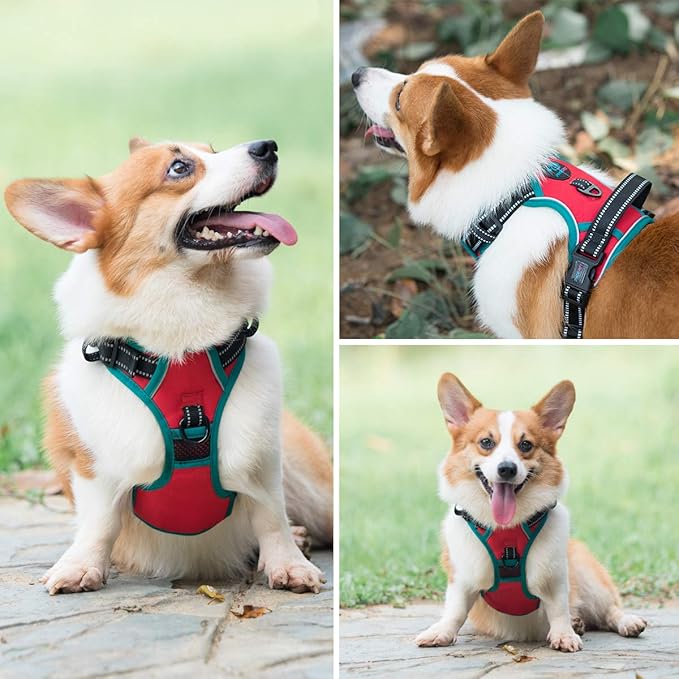 PHOEPET 2019 Reflective Dog Harness Large Breed Adjustable No Pull Vest with with Handle 2 Metal Rings 3 Buckles [Easy to Put on & Take Off](L, Red)