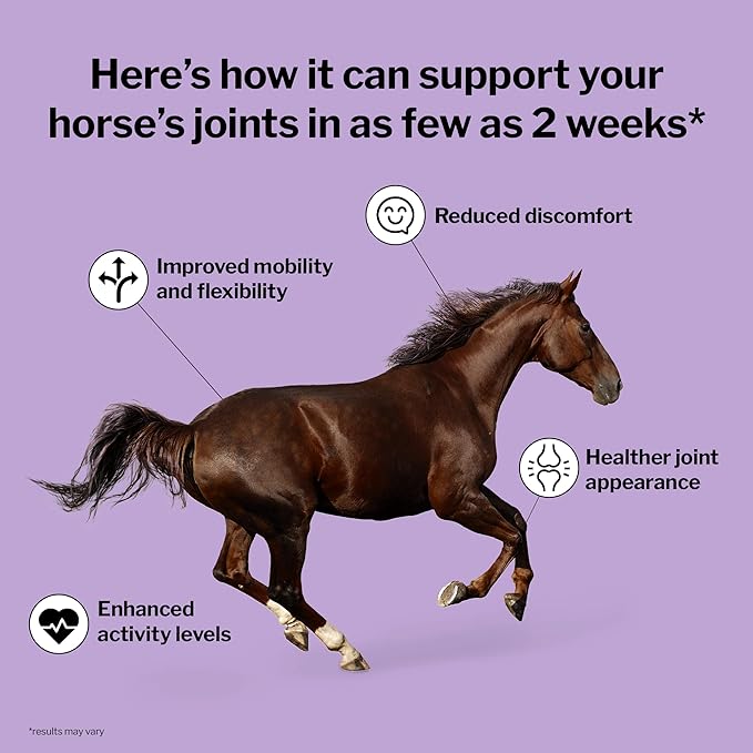 Formula 707 Joint 6in1 Equine Supplement 5 lb Bag - Support for Joint Integrity and Inflammatory Response in Horses - Green-Lipped Mussel, MSM, Glucosamine, Chondroitin & Collagen