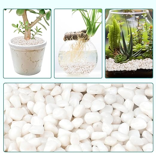 2.5 lbs Small White Rocks for Planters, 3/8" White Pebbles for Vases, Decorative Small Stones for Plants, Succulents, Bamboo, Terrarium, Landscape, Garden