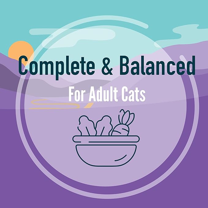 A Strong Heart Canned Wet Cat Food, Special Supper Dinner - 13.2 oz Cans (Pack of 12), Made in The USA with Real Turkey & Fish