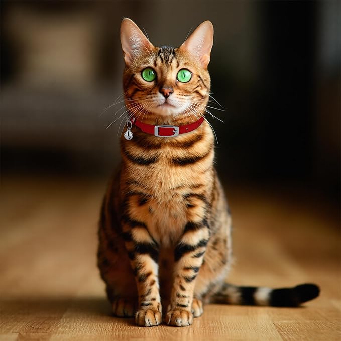 OOPSDOGGY Rolled Leather Cat Collar with Bell, Reflective Kitten Collars with Buckle Include Safety Elastic Strap - Adjustable Small Pet Collars for Boy Girl Cats (Red)