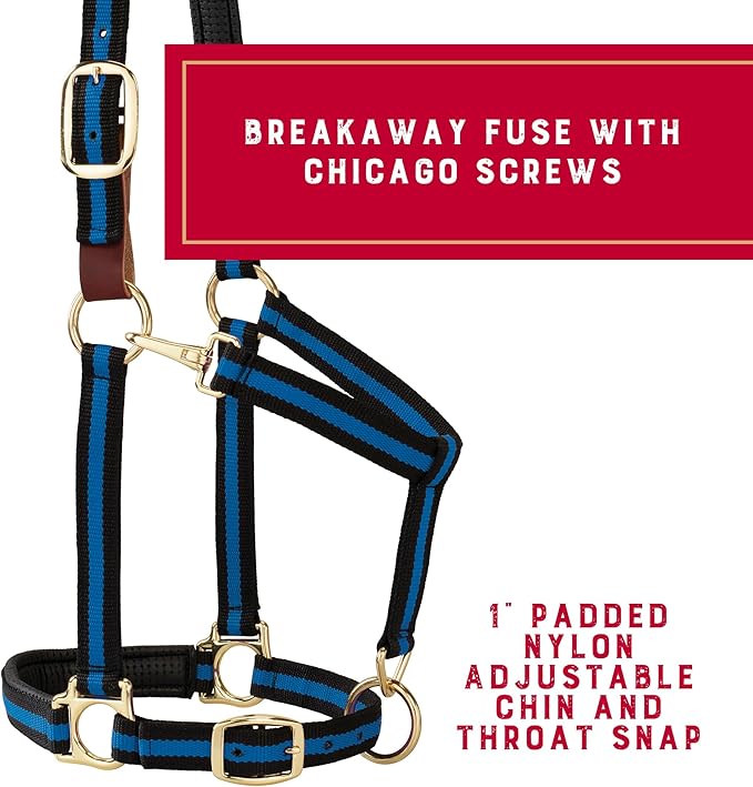 Weaver Equine Breakaway Horse Halter, Comfort Foam Padding, Adjustable Chin & Throat Snap Halters for Horses, Equine Tack,Average Size, Blue