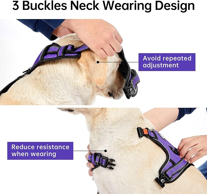 IVY&LANE No Pull Dog Harness for Small Dogs, Dog Vest Harness with Leash, Safety Belt and Storage Strap, Fully Adjustable Harness, 360° Reflective Strip, Soft Handle (Purple, XS)
