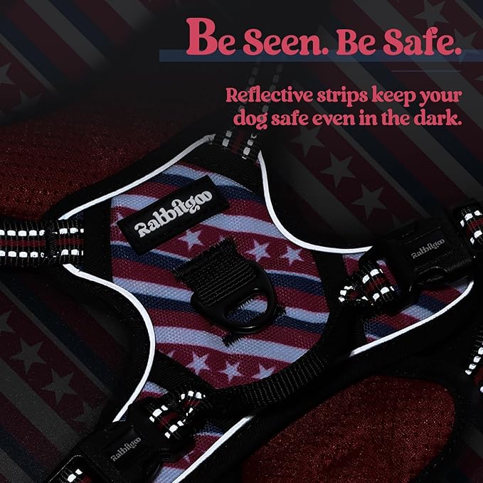 rabbitgoo Dog Harness No Pull with 2 Leash Clips, Adjustable Soft Padded, Reflective Oxford No Choke Pet Vest with Easy Control Handle for Large Dogs, Red Stripe, XS
