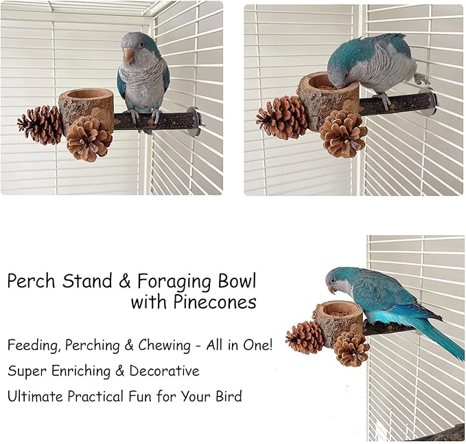Bird Perch with Safe Bowl Wood & Pinecones - Bird Toys Chew Toys 100% Natural & Durable for Cockatiel, Conure, Budgie, Lovebird, Parakeet - Birdcage Accessory for Foraging & Oral Health