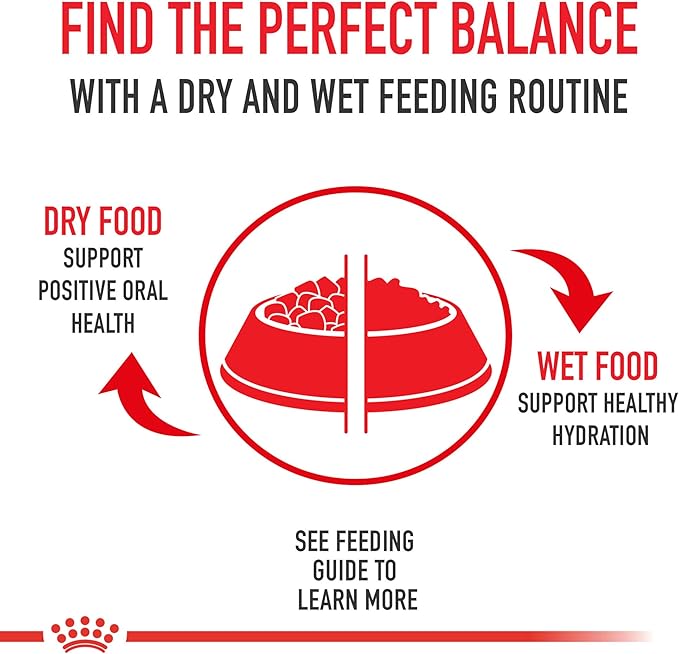 Royal Canin Feline Weight Care Thin Slices in Gravy Canned Adult Wet Cat Food, 3 oz can (24-count)