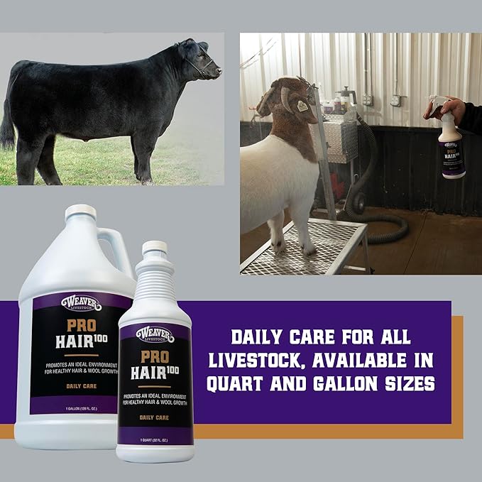 Weaver Leather Livestock Winner's Brand Pro Hair100 Shampoo, 1 Gallon