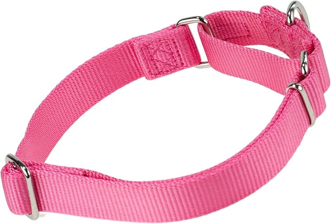 Hyhug Improved Design Nylon Webbing, Cold Water Washing Does Not Fade, Not Polluting Dog Hair, Wear Resistant and Not Prone to Fuzzing. No Slip Training Martingale Collar. (Candy Pink, Large)