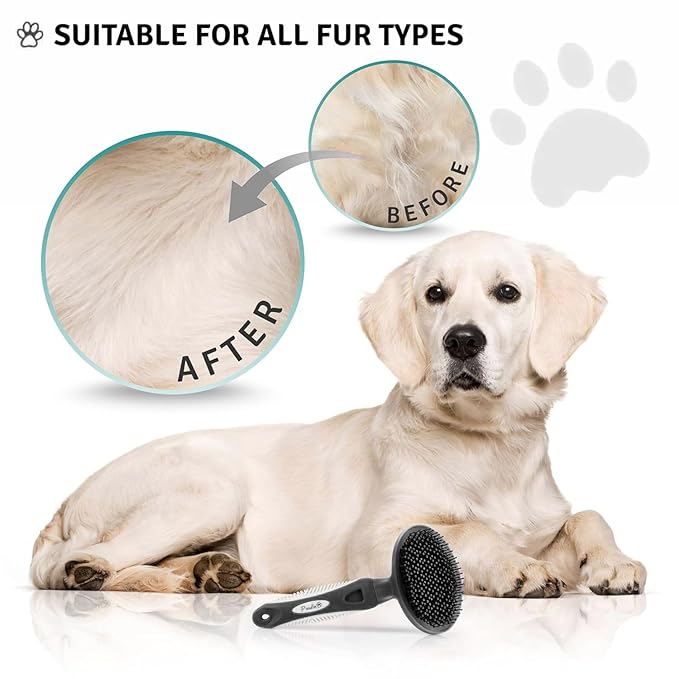 Round Bristle Pet Brush for Dogs and Cats - Soft Dog Brush for Grooming Short or Long Hair - Gentle Tool for Sensitive Skin Removes Dander, Dirt, and Detangles (Black)