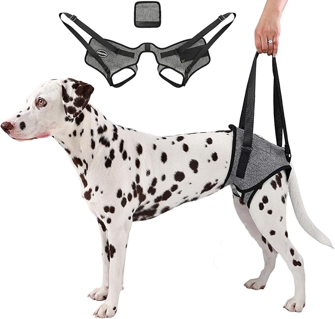 Dog Sling for Medium Large Dog Rear Leg, Lift Harness Provide Support with Muscle Atrophy and Joint Problems for Elderly Injured Arthritic Pet, Dog Weak Rear Legs Provides Rehabilitation Aid