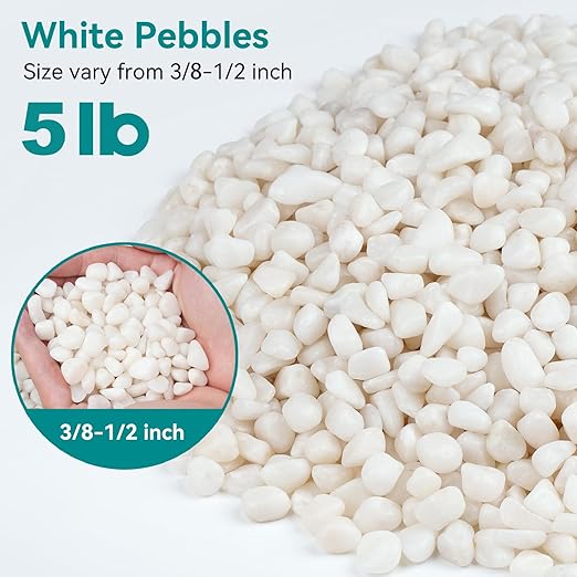 5 lbs Small White Rocks for Planters, 3/8" White Pebbles for Vases, Decorative Small Stones for Plants, Succulents, Bamboo, Terrarium, Landscape, Garden