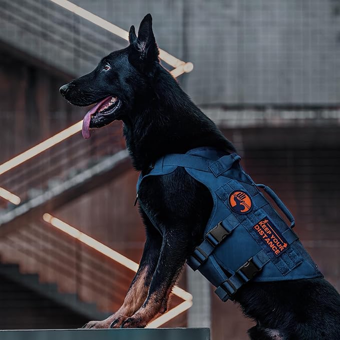 OneTigris Tactical Dog Harness for Small Medium Large Dogs, Mesh Design Service Dog Vest Breathable Military Dogs Molle Vests with Handles, Harness for Walking Hiking Training (Blue, L)