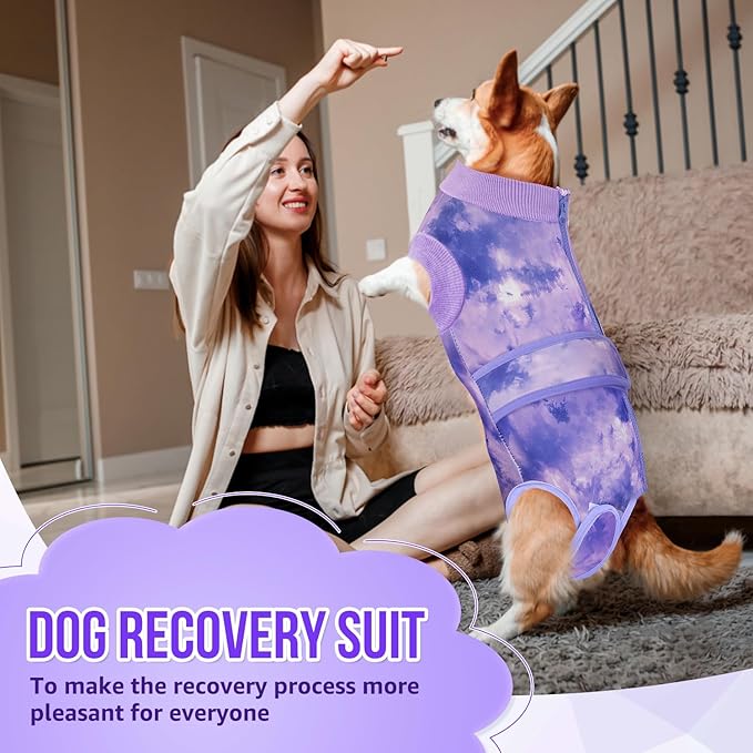 Lukovee Recovery Suit for Dogs, Zipper On Recovery Suit for Female Male Dog, Onesie Abdominal Wounds Cone E-Collar Alternative Prevent Licking Spay Recovery Suit (Small, Purple Tie-dye)