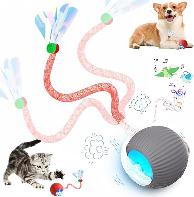Speed 2.0 Tail Interactive Cat Toys for Indoor Cats, Chirping & Motion Activate Ca t Toy, Smart Kitten Rolling Ball Moving Ball Toys, Rechargeable Dog Cat Bal l for Enrichment Exercise (Grey)