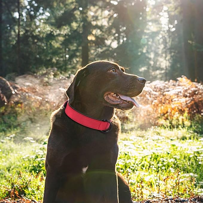 Didog Soft Padded PU Leather Dog Collar, Breathable and Adjustable Red Dog Collar for Large Dogs, Comfortable for Daily Walk,Red XL Fit Neck 17-21"(44-71 lbs)