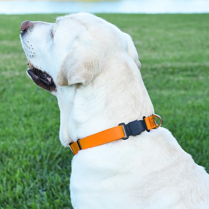 Dogline Biothane Waterproof Dog Collar with Herm Sprenger Black Stainless Steel Quick Release Buckle – Heavy Duty Tactical Durable Collar for Dogs – Comfortable, Safe Pet Collar W 1" L15-25 Tangerine