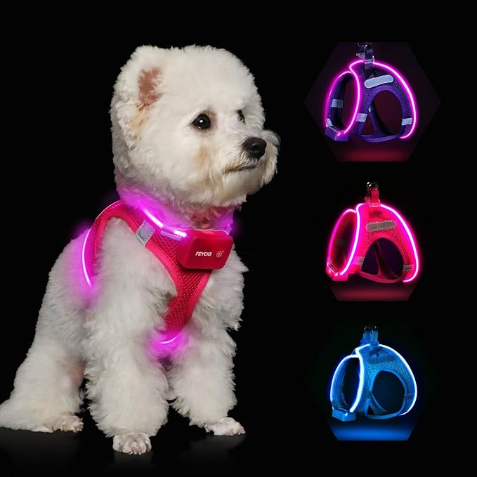 Light Up Dog Harness,Rechargeable LED Dog Harness for Small Medium Large Dogs,Reflective Lighted Safety Vest for Night Walking & Camping,Lightweight & Adjustable,Pink,M