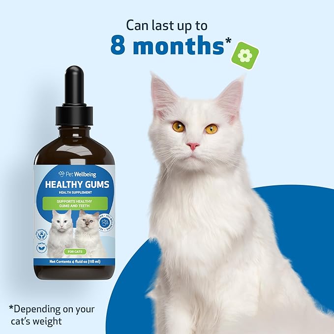 Pet Wellbeing Healthy Gums for Cats - Gums & Dental Health, Oral Care, Healthy Breath, Coenzyme Q10, Zinc Oxide, Calendula, Marshmallow Root - Veterinarian-Formulated Holistic Topical 4 oz (118 ml)