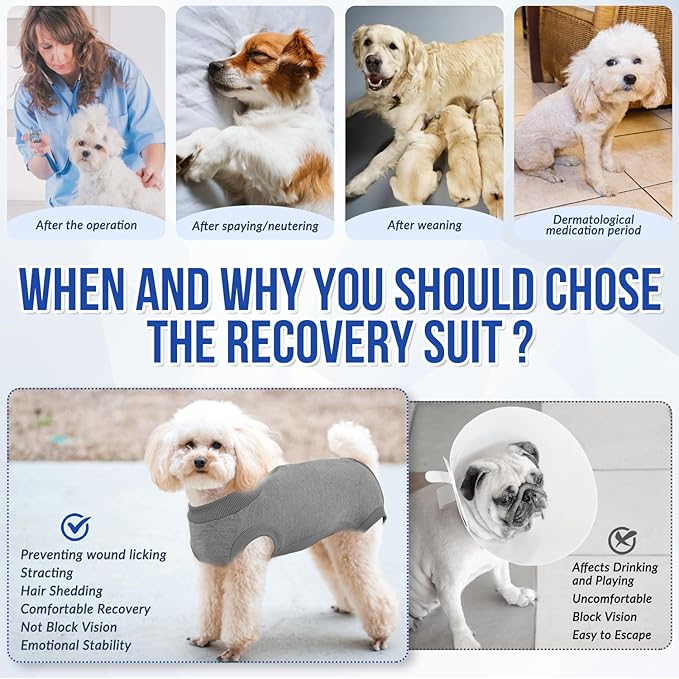 Lukovee Recovery Suit for Dogs, Onesie Surgery Recovery Suit for Female Male Dogs, Abdominal Wounds Cone E-Collar Alternative Prevent Licking Spay Recovery Suit (GY,XXL)