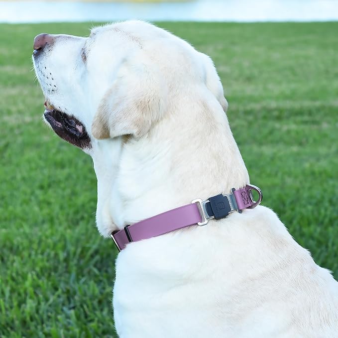 Dogline Biothane Waterproof Dog Collar with Herm Sprenger Black Stainless Steel Quick Release Buckle – Heavy Duty Tactical Durable Collar for Dogs – Comfortable, Safe Pet Collar W 1" L 15-25" Amethyst
