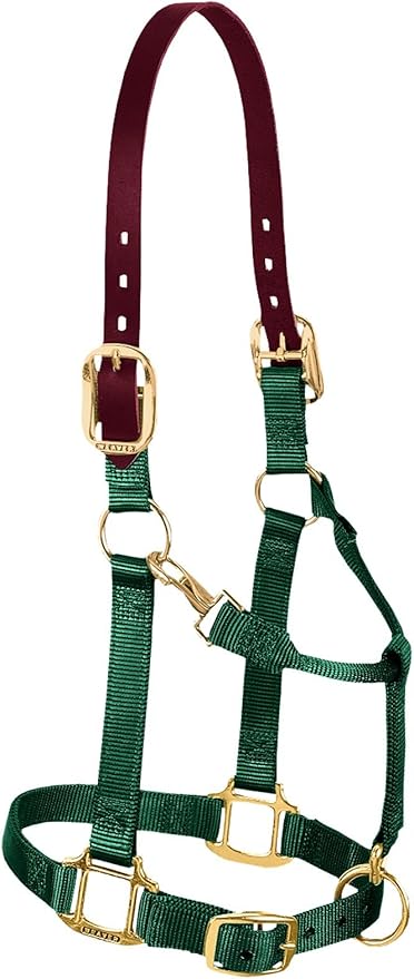 Weaver Equine Nylon Horse Halter, Triple-Ply Cheek Design, Original Non Adjustable Halters for Horses, Equine Tack,Average Size, Black