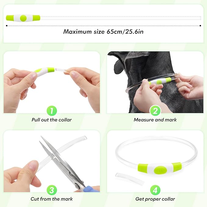 BSEEN Light Up Dog Collar - LED Dog Collar Rechargeable, Glowing Pet Collars for Small Medium Large Dogs, TPU Cuttable Lighted Puppy Collar, Safety Dog Lights for Night Walking (Green 70cm)
