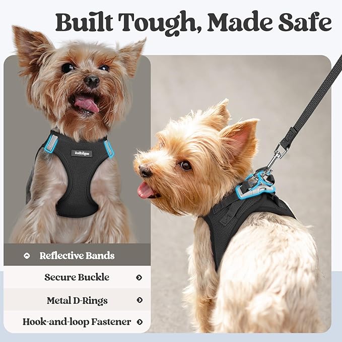 rabbitgoo Dog Harness Small Sized and Leash Set, Step in Soft Light Puppy Vest, Breathable Mesh Pet Harness, Reflective for Safe Easy Walking, Black XXS