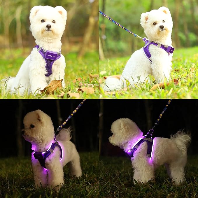 Light Up Dog Harness,Rechargeable LED Dog Harness for Small Medium Large Dogs,Reflective Lighted Safety Vest for Night Walking & Camping,Lightweight & Adjustable,Purple,S