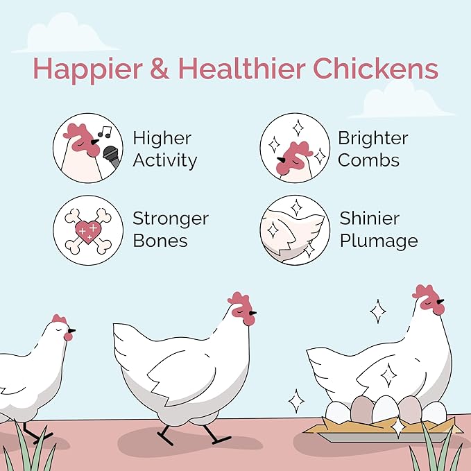 Organic Chicken Feed – Layer Pellet, Non-GMO, USA Grown, 16% Protein, Corn-Free, Soy-Free, Non-Medicated Feed for Chickens, 46 lbs
