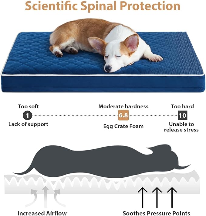 WNPETHOME Orthopedic Giant Dog Beds Large Sized Dog, Waterproof Extra Large Dogs Bed with Removable Washable Cover, Multi-Needle Quilting Dogs Crate Bed