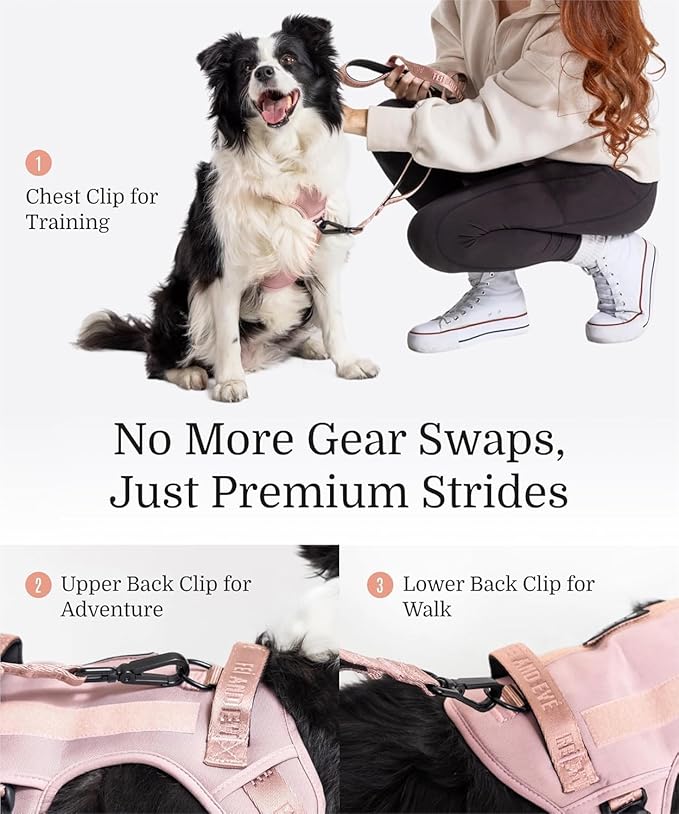 2025 New Edition, Fei & Eve MagEase Dog Harness - 3-Second Magnetic Buckles | 3-Point No-Pull Control | Heavy-Duty 900D Nylon | Dual Safety Handles | Breathable Mesh | Adjustable Fit | X-Large, Pink