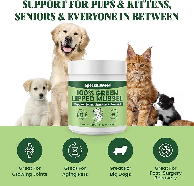 Green Lipped Mussel Powder for Dogs & Cats - 100% New Zealand Green Lipped Mussels - Natural Hip & Joint Supplement for Joints, Tendons, Ligaments, Muscles - 75 Grams - Up to 250 Servings