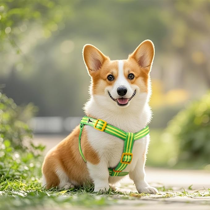 Stripe Step in Dog Harness for Small Dogs, Freedom Nylon Dog Halter Vests, Lightweight and Escape Proof Puppy Harness, Quick Fits for Small Medium and Large Dogs, Green XS