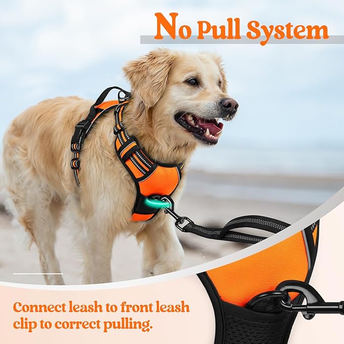 rabbitgoo Dog Harness No Pull with 2 Leash Clips, Adjustable Soft Padded, Reflective Oxford No Choke Pet Vest with Easy Control Handle for Small Dogs,Orange,S