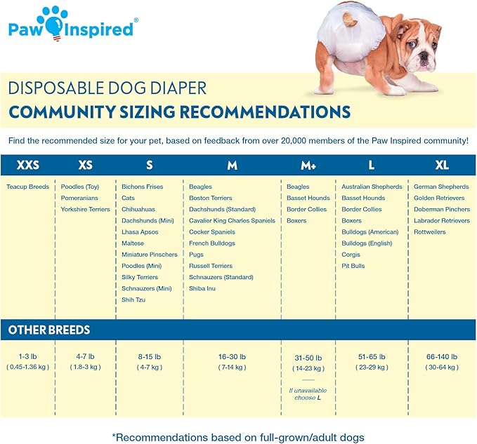 Paw Inspired Disposable Dog Diapers | Female Dog Diapers Ultra Protection | Diapers for Dogs in Heat, Excitable Urination, or Incontinence (12 Count, Medium)